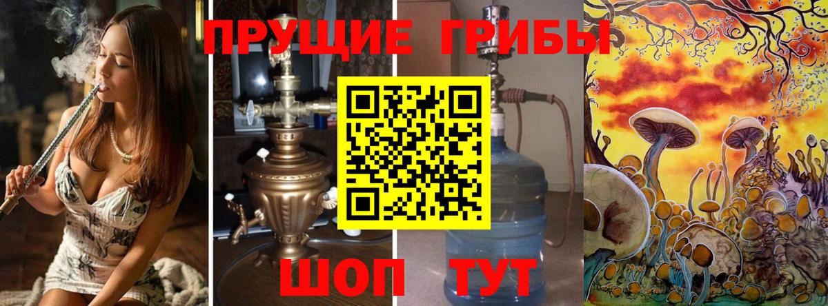 Галлюциногенные грибы GOLDEN TEACHER  Псилоцибиновые грибы GOLDEN TEACHER  Куйбышев  Вход с VPN 